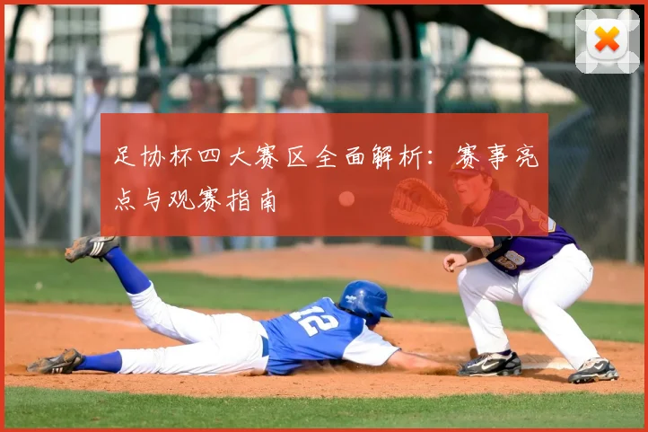 足协杯四大赛区全面解析：赛事亮点与观赛指南